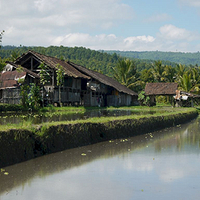 Photo de Bali - Banjar et Gitgit